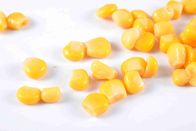 Χρυσός κίτρινος κονσερβοποιημένος πυρήνας γλυκού καλαμποκιού με το εύκολο ανοικτό καπάκι HACCP εγκεκριμένο