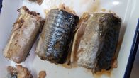 Επικυρωμένα ΕΕ κονσερβοποιημένα σκουμπρί ψάρια στην υψηλή καρδιά υγιής Omega άλμης - 3 λιπαρά οξέα