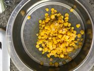 Μαλακό κίτρινο κονσερβοποιημένο γλυκό καλαμπόκι για την επεξεργασία τροφίμων