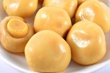 425g/200g αρίστης ποιότητας κονσερβοποιημένο Champignon μανιτάρι στην άλμη