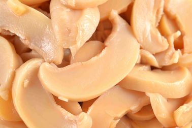 Θρεπτικό κονσερβοποιημένο Champignon μανιτάρι/κονσερβοποιημένη σύνολο αλμυρή γεύση μανιταριών