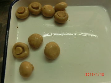 Ολόκληρο κονσερβοποιημένο μορφή Champignon μανιτάρι με την πλούσια σύντομη χρονική ανοχή διατροφής