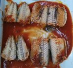 Ιδιωτικά ατλαντικά κονσερβοποιημένα σκουμπρί ψάρια ετικετών στη σάλτσα ντοματών χωρίς πιπέρι τσίλι