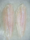 Εύγευστα παγωμένα όγκος παγωμένα ψάρια λωρίδα Pangasius/ψάρια Basa από το Βιετνάμ
