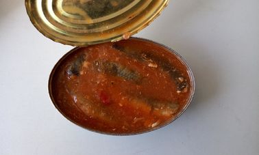 Κονσερβοποιημένη σαρδέλλα σε βάρος 425G Χ δικτύου σάλτσας ντοματών 24 ψηλός κασσίτερος/ωοειδής κασσίτερος