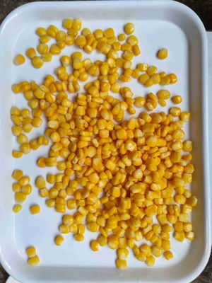 Κονσέρβα γλυκού καλαμποκιού κορυφαίας ποιότητας με διάρκεια ζωής 2 ετών και 1080 χαρτοκιβώτια ανά 20 GP