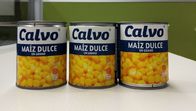 Το εμπορικό σήμα Calvo κονσερβοποίησε το βάρος 241g δικτύου Maiz Dulze γλυκού καλαμποκιού για την Κεντρική Αμερική