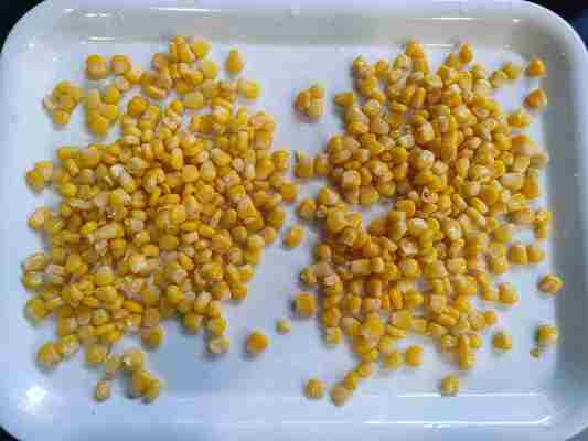 Φρέσκο καλαμπόκι Κονσερβοποιημένο γλυκό καλαμπόκι για φρούτα και μανιτάρια