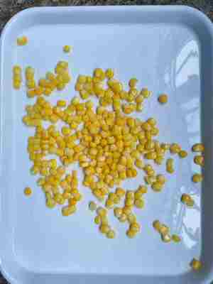 Έτοιμο για κατανάλωση κονσερβοποιημένο γλυκό καλαμπόκι και ιδανικό για κάθε πιάτο