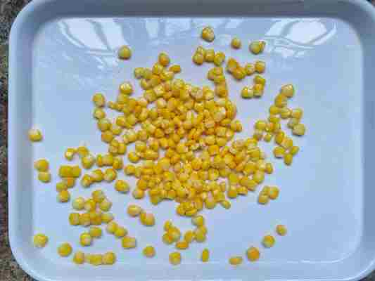 Κονσερβοποιημένο Γλυκό Καλαμπόκι Το Αξιόπιστο Κονσερβοποιημένο Καλαμπόκι για τις Απαιτήσεις των Πελατών σας