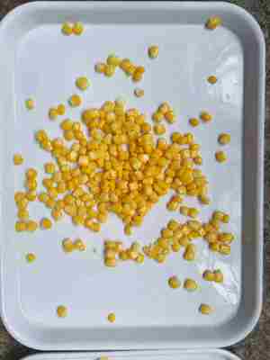 Μέρος Γλυκό καλαμπόκι Σώρος κονσερβοποιημένο γλυκό καλαμπόκι Φορτώνοντας Αλλεργιογόνα Μπορεί να Περιέχει ίχνη Σόγιας και Σίτου