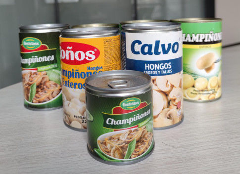 Ολόκληρο κονσερβοποιημένο Champignon μορφής 425g μανιτάρι με την πλούσια διατροφή