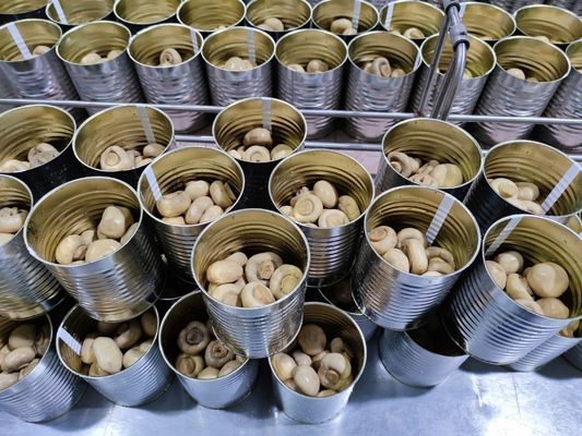400g / 425g κονσερβοποιημένο ολόκληρο το μανιτάρι κονσερβοποίησε τα κινεζικά μανιτάρια