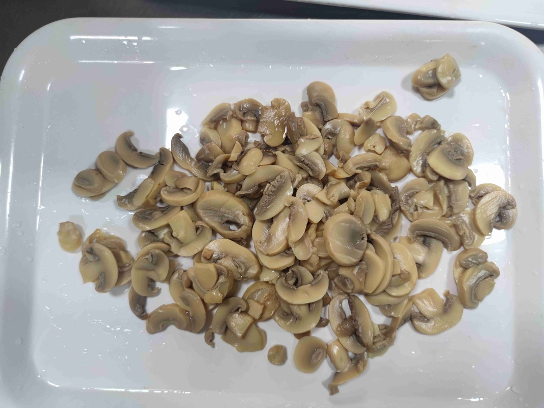Ατμισμένα Κονσερβοποιημένα Μανιτάρια Champignon Διατηρείται σε Δροσερό και Ξηρό Μέρος για Κονσερβοποιημένα Λαχανικά