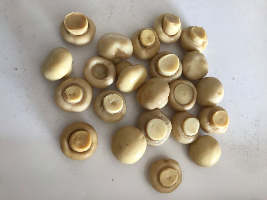 Κονσερβοποιημένα λαχανικά σε στυλ μανιταριού Champignon που περιέχουν καθαρή φυσική γεύση Κονσερβοποιημένο μανιτάρι Champignon για τη βιομηχανία τροφίμων