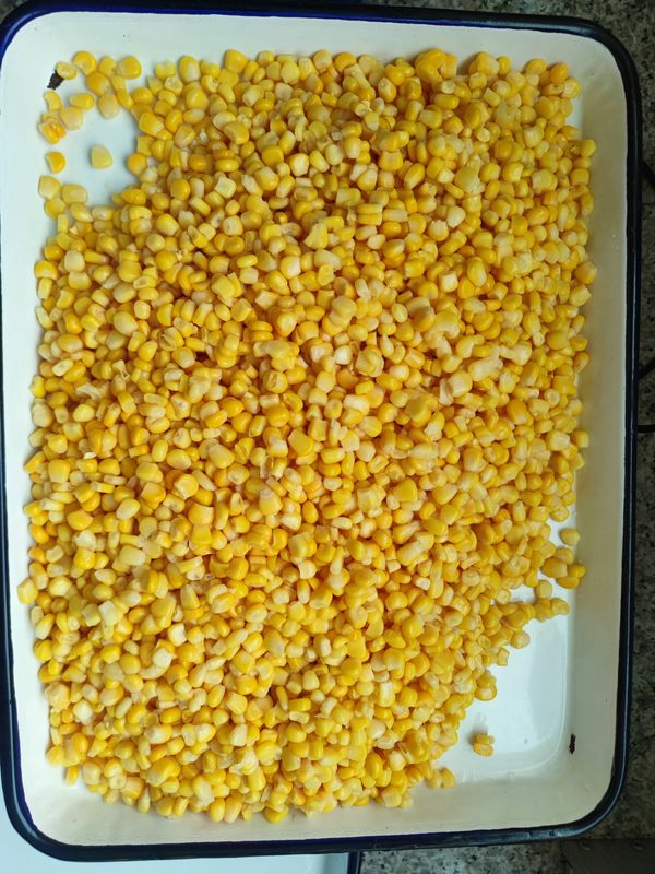 Κονσερβοποιημένο γλυκό καλαμπόκι με καρυκεύματα για αγροτικές αγορές Φρούτα και Μανιτάρια