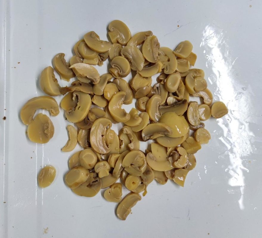 Περιέχει Μανιτάρια Κονσέρβα Μανιτάρια Champignon Διατηρημένα Μανιτάρια Champignon Ιδανικά για τη Βιομηχανία Τροφίμων και τη Μαγειρική
