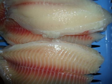 Υγιή καθαρά φρέσκα ανόστεα παγωμένα Tilapia ψάρια, παγωμένες Tilapia λωρίδες