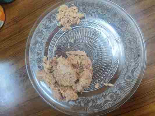 Τόνους Τόνου με Νερό και Έλαιο - Μια νόστιμη και θρεπτική προσθήκη στην κουζίνα σας