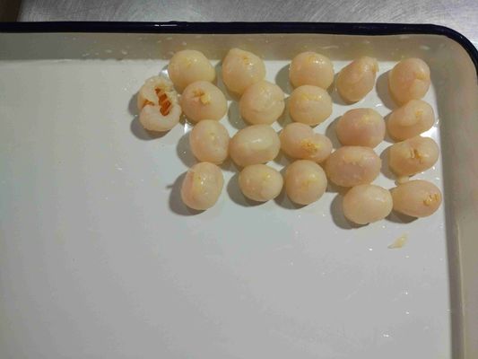 15 σιροπιού συντήρησης ΓΤΟ κονσερβοποιημένων Oz Lychee φρούτων καλλιέργειας